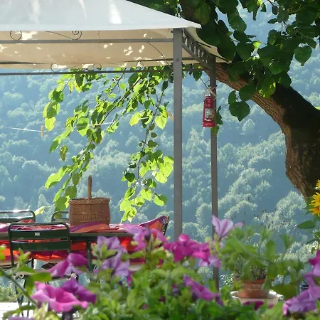 Bed & Breakfast I Boschi Del Castagno