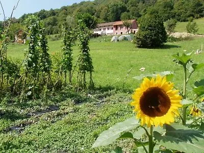I Boschi Del Castagno