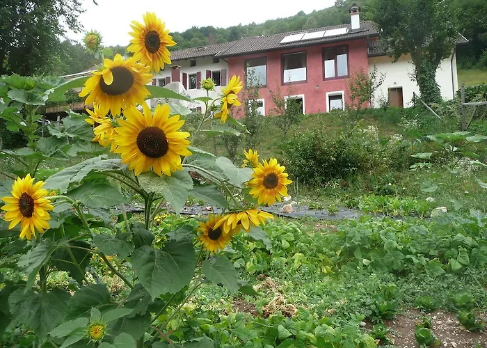 I Boschi Del Castagno Triches