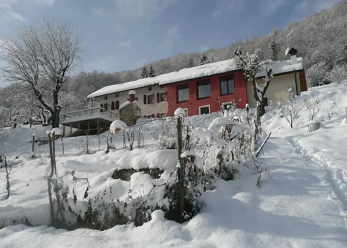 住宿加早餐酒店 I Boschi Del Castagno Triches